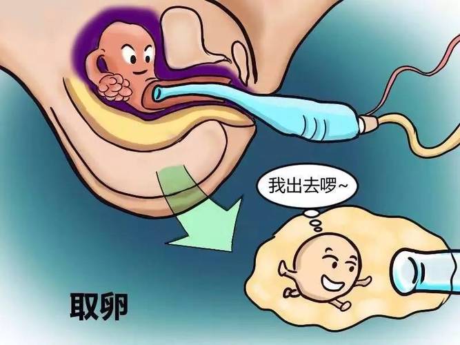 供卵代生宝宝什么时候用枕头