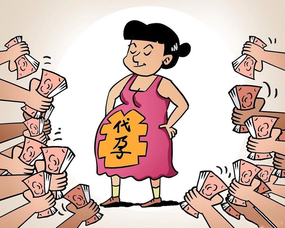花园代怀代孕宝宝什么意思