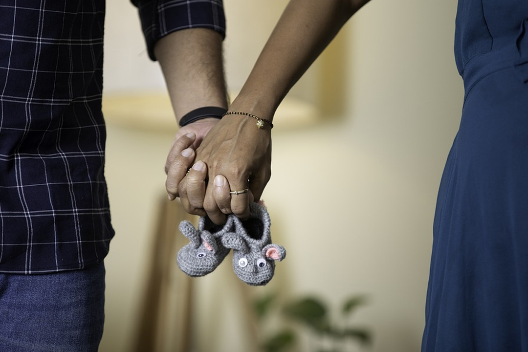 1673071088703fa2.jpg 1673071088703fa2.jpg